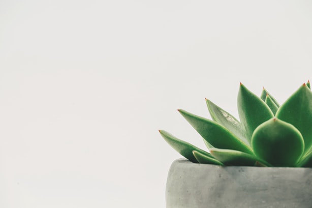 Dịch – Hiểu về&nbsp;Minimalism