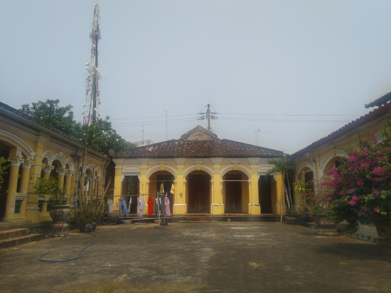 099ed0ab4d77af29f666.jpg