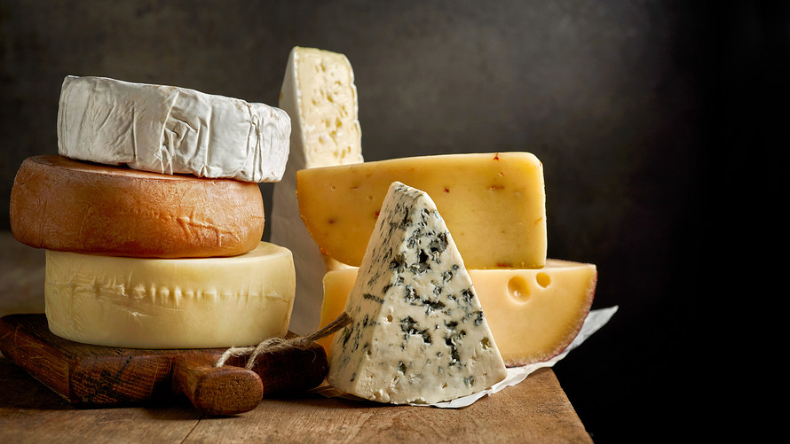 “Who Moved My Cheese?” và Sự chuyển động trong sự đọc sách của bản thân
