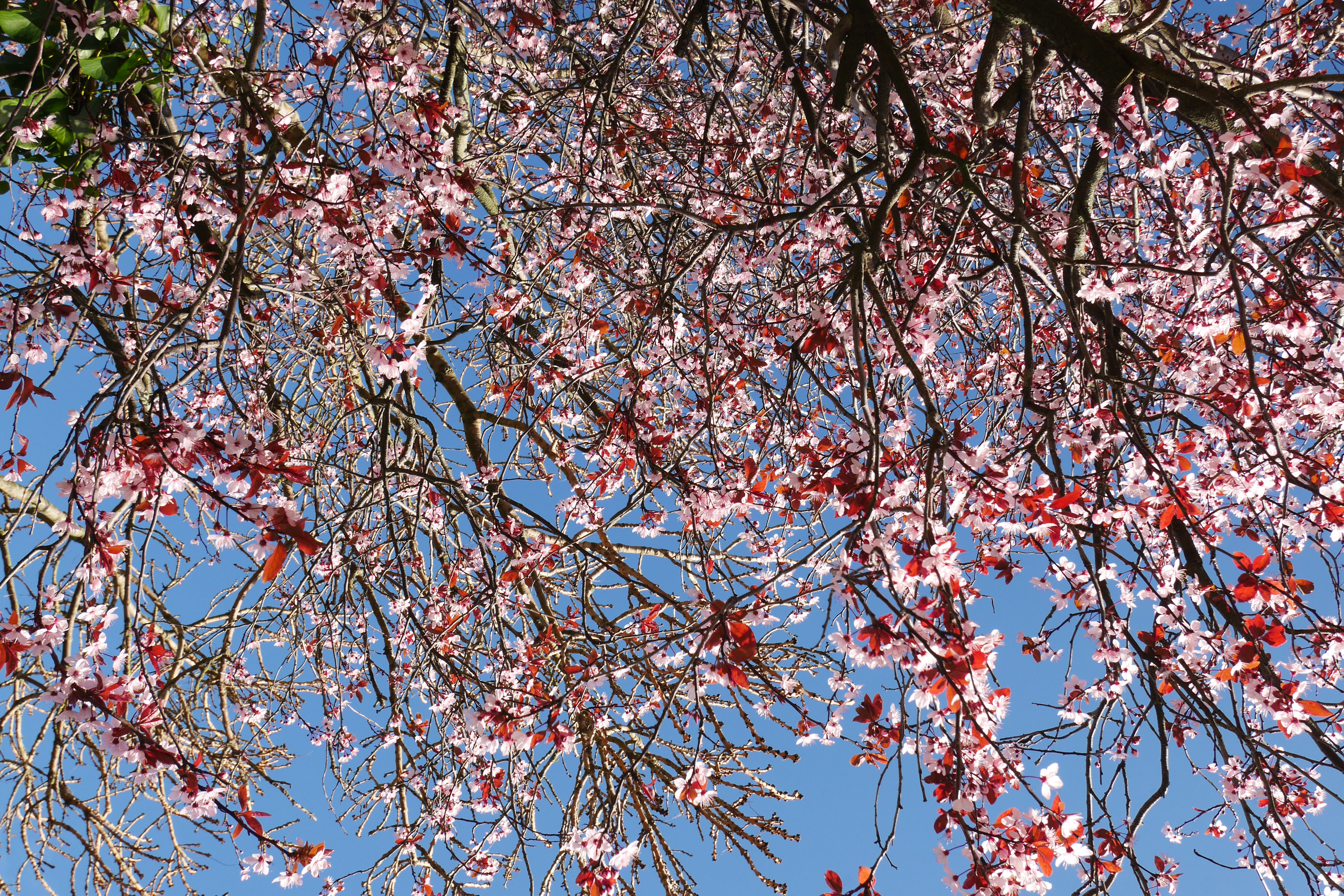 Moments of March in&nbsp;Ireland